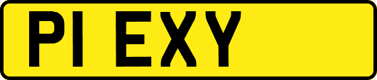 P1EXY