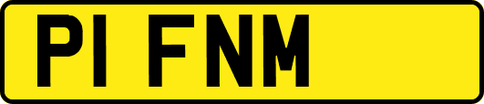 P1FNM