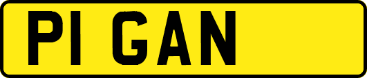 P1GAN