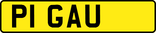 P1GAU