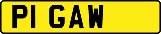 P1GAW