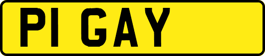 P1GAY