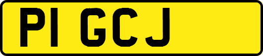 P1GCJ