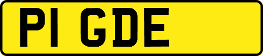 P1GDE