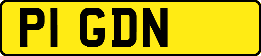 P1GDN