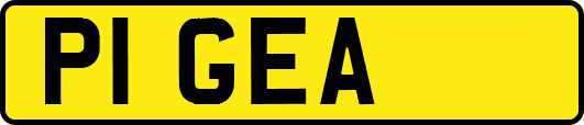 P1GEA