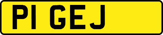 P1GEJ