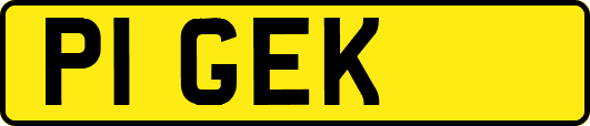 P1GEK