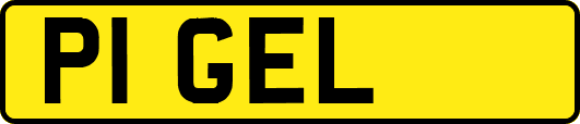 P1GEL