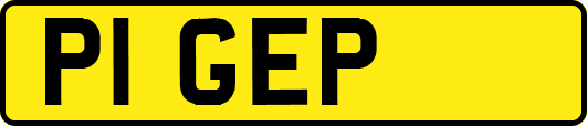 P1GEP