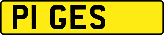 P1GES