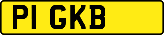 P1GKB