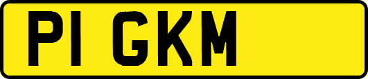 P1GKM