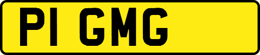 P1GMG