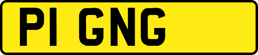 P1GNG