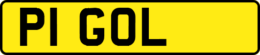 P1GOL