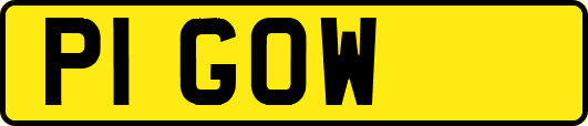 P1GOW