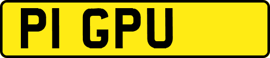 P1GPU