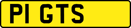 P1GTS