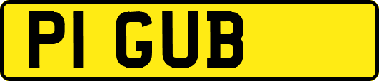 P1GUB