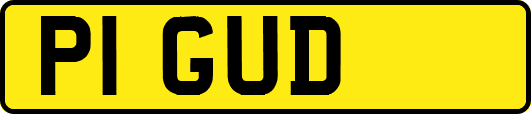 P1GUD