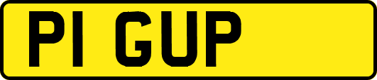 P1GUP