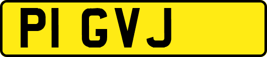 P1GVJ