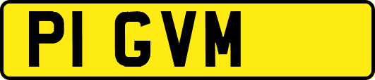 P1GVM