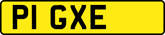 P1GXE