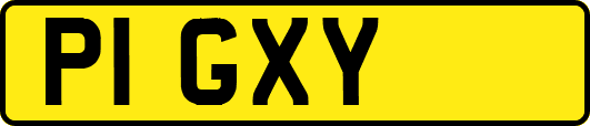 P1GXY
