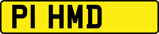 P1HMD