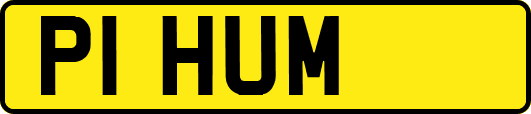 P1HUM