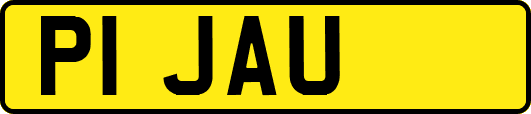 P1JAU