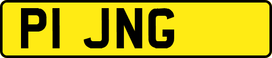 P1JNG