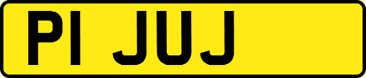 P1JUJ