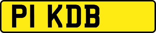 P1KDB