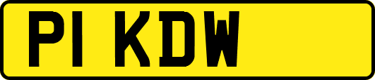 P1KDW