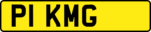 P1KMG