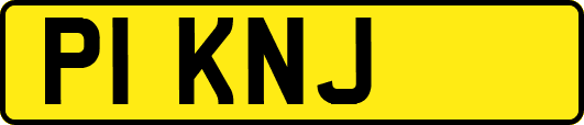 P1KNJ