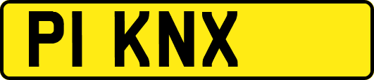 P1KNX