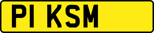P1KSM