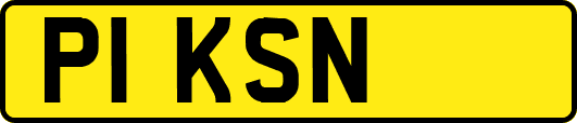 P1KSN