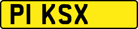 P1KSX