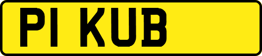 P1KUB