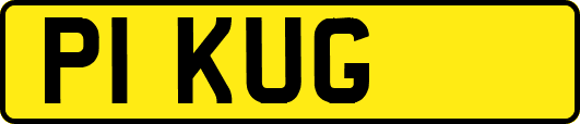 P1KUG