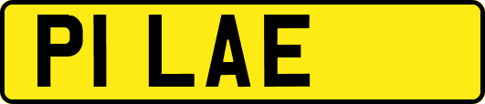 P1LAE