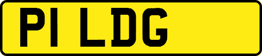 P1LDG