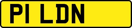 P1LDN