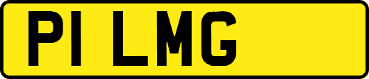 P1LMG
