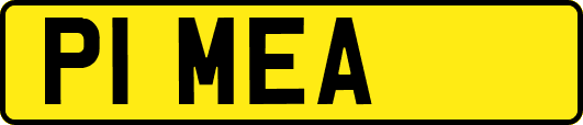 P1MEA